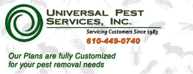 residential & commercial pest control